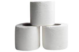 Sanita Toilet Roll Paper